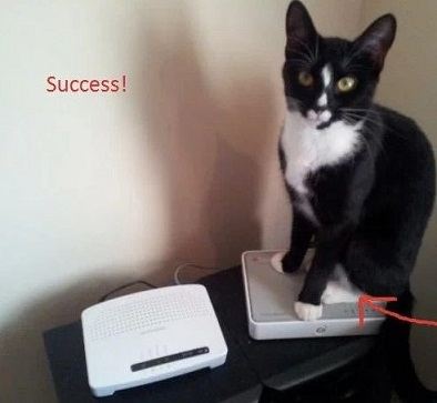 liam_cat Liam’s cat is well off with two routers! Credit photo: https://consumermediallc.files.wordpress.com/2012/03/success.jpg?w=515&h=458
