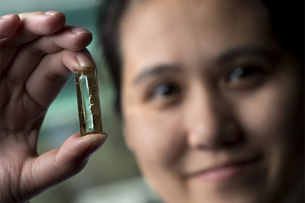 Batteries of the Future - What Will They Be nanowire - Batteries of the Future - What Will They Be