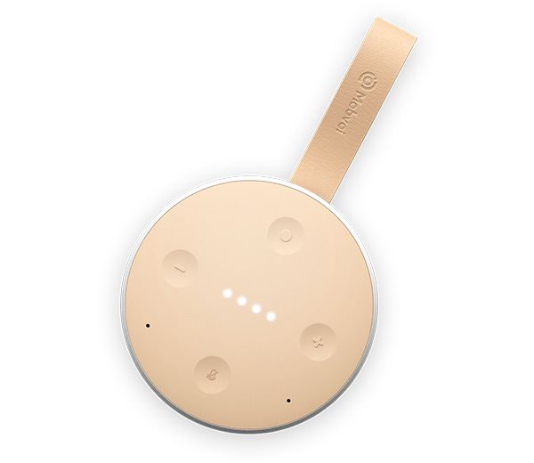 Google Assistant - Digital Butler mobivoi ticmini dialogue - Google Assistant - Digital Butler