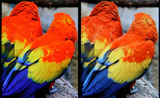 Types of Smartphones' Displays on the Market super amoled plus vs ips retina display - Types of Smartphones' Displays on the Market