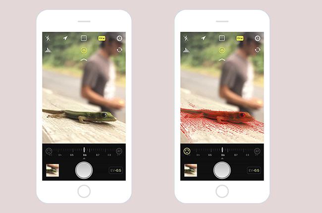 Taking the Best Photos You Can: Tips and Tricks taking best photos manual auto - Taking the Best Photos You Can: Tips and Tricks