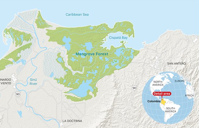 Apple Helps Save a Mangrove Forest in Columbia apple helps save a mangrove forest in columbia map - Apple Helps Save a Mangrove Forest in Columbia