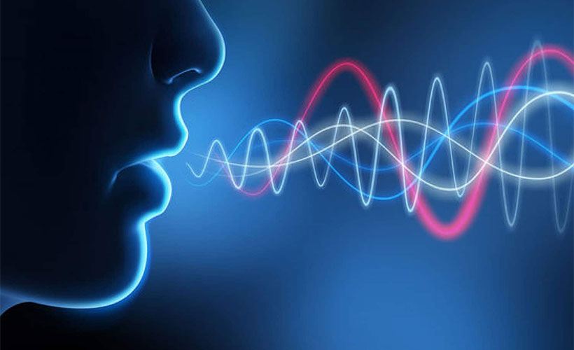 Voice Technology: What the Favorites Do Voice Technology: What the Favorites Do