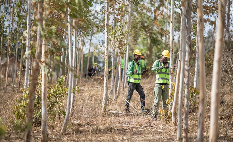 Battle for the Earth: Apple's Ecological Program battle for the earth apples ecological program kenya - Battle for the Earth: Apple's Ecological Program